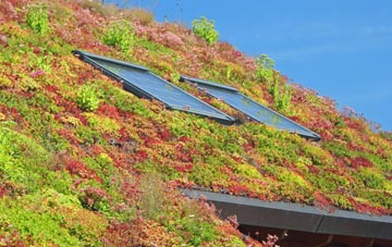 Kneesall living roof systems